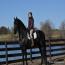 Iente van Hoeve Jacolie Iente van Hoeve Jacolie