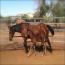 Time To Rein Time To Rein
